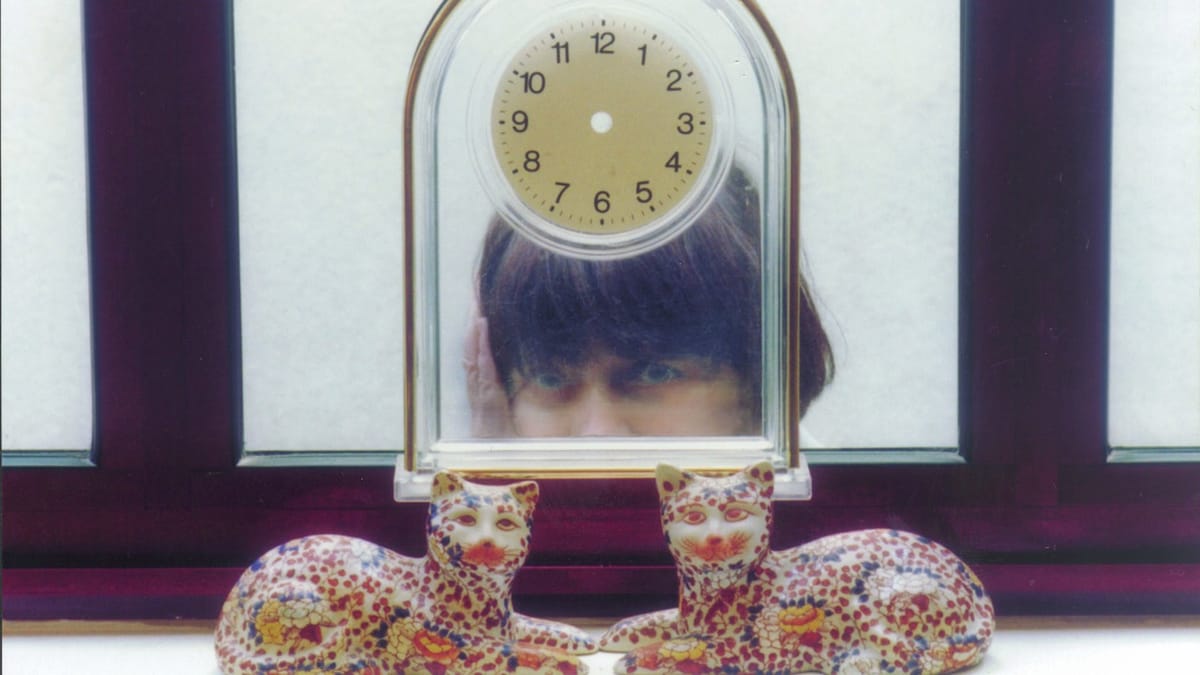 The Gleaners and I and the politics of abundance