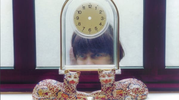 The Gleaners and I and the politics of abundance